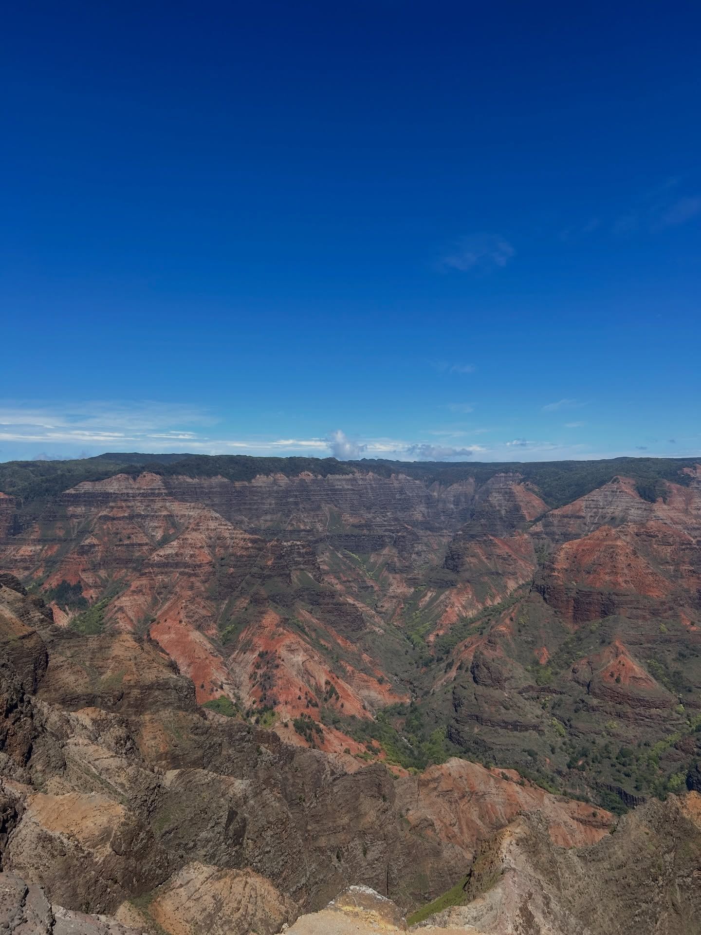 Vista di Waimea Canyon