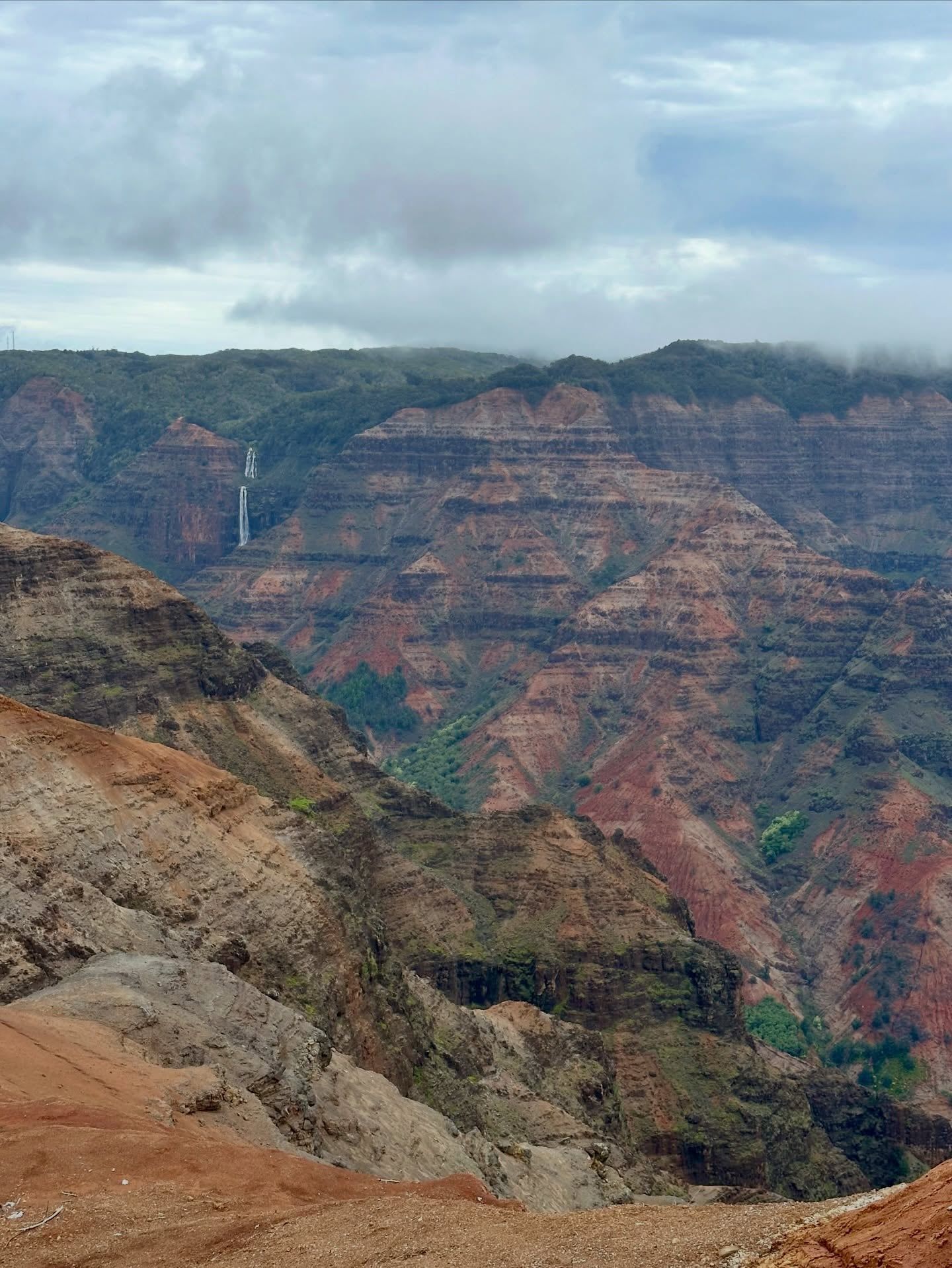 Vista di Waimea Canyon