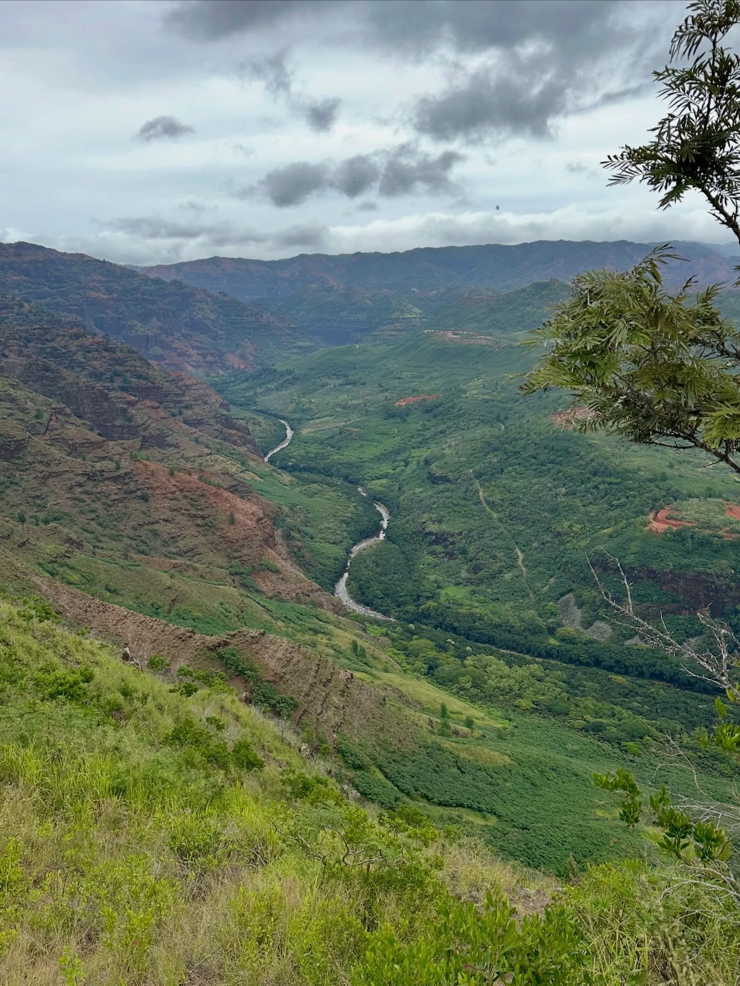 Vista di Waimea Canyon
