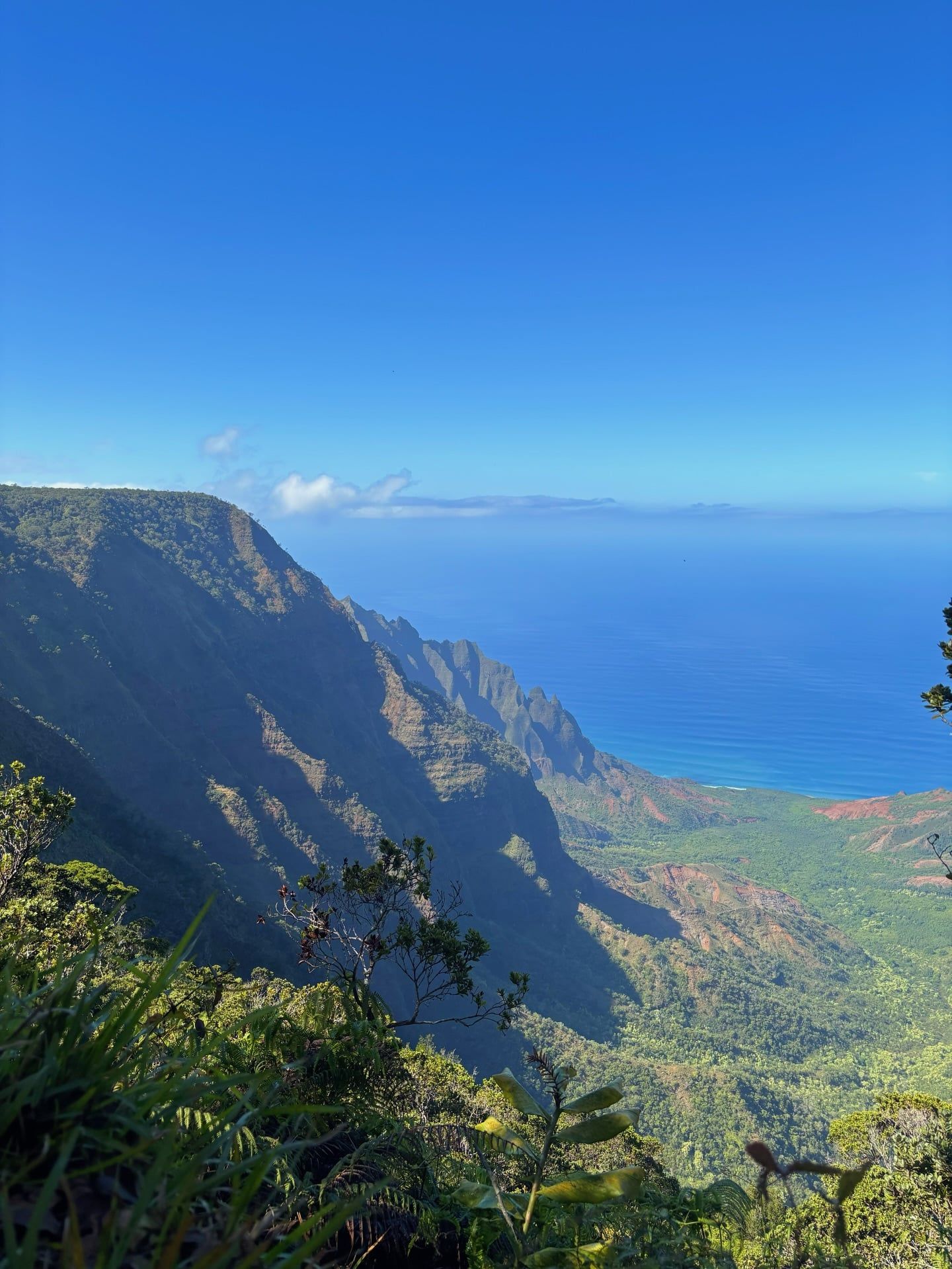 Vista di Waimea Canyon