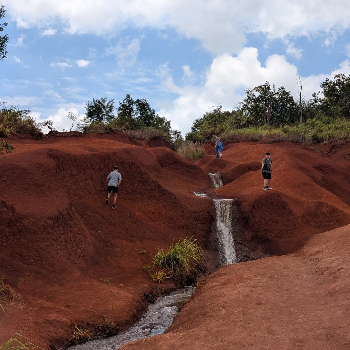 Waimea Canyon tour visitor photo